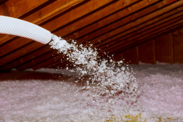 Best Home Insulation Services  in Walhalla, SC