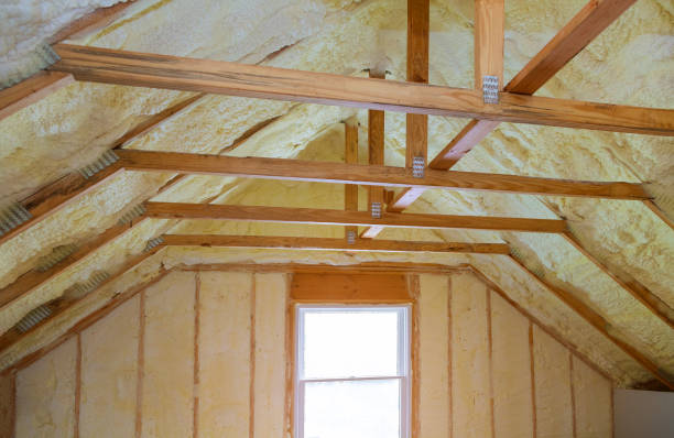 Best Insulation for New Construction  in Walhalla, SC