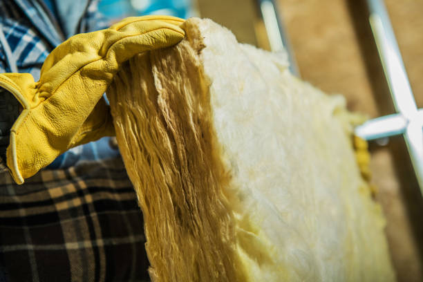 Best Insulation Replacement Services  in Walhalla, SC