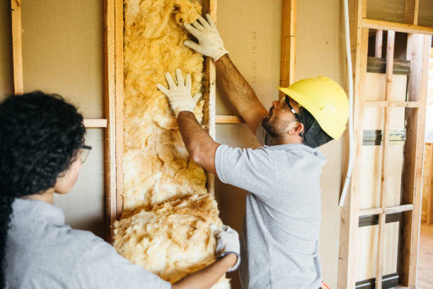 Best Garage Insulation Installation  in Walhalla, SC