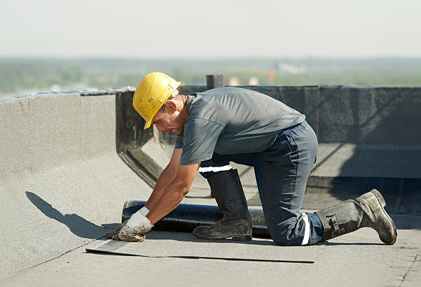 Best Home Insulation Services  in Walhalla, SC