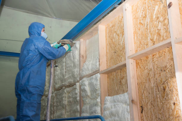 Best Affordable Insulation Services  in Walhalla, SC