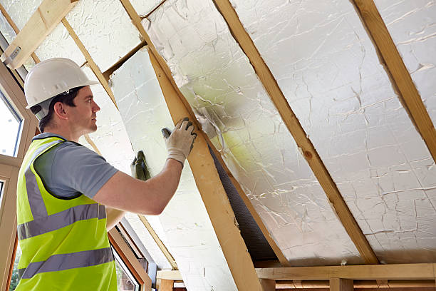 Best Best Insulation Companies  in Walhalla, SC